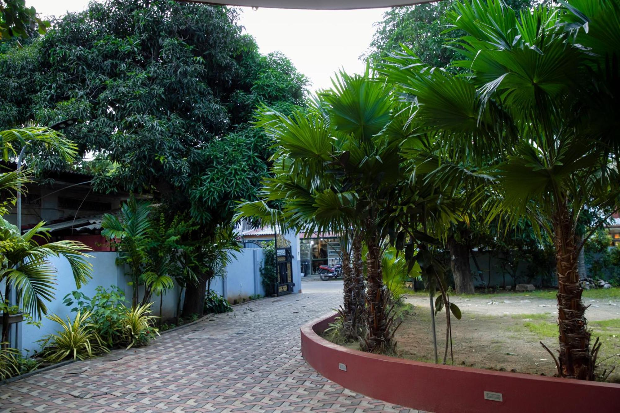 Golden Star Guest House Jaffna Dış mekan fotoğraf